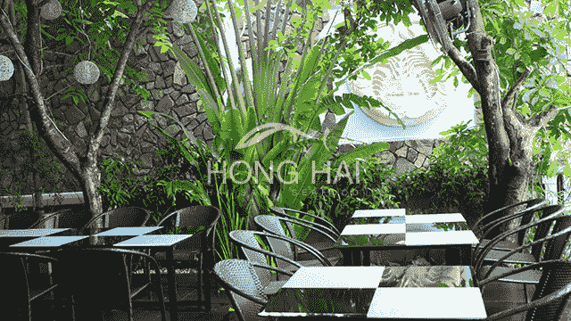 Hong Hai